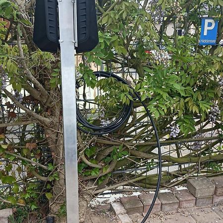 Villa Concordia Apartment Hiddensee ビンツ エクステリア 写真